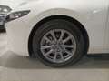 Mazda 3 Sedán 2.0 e-Skyactiv-G Origin 90kW - thumbnail 8