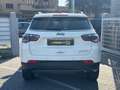 Jeep Compass Compass 1.4 MultiAir 2WD Limited Blanc - thumbnail 3
