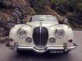 Jaguar 240 White - thumbnail 3
