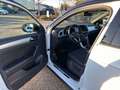 Volkswagen T-Roc GOAL TDI DSG CarPlay/AHK/Virt/ACC/Kamera Weiß - thumbnail 21