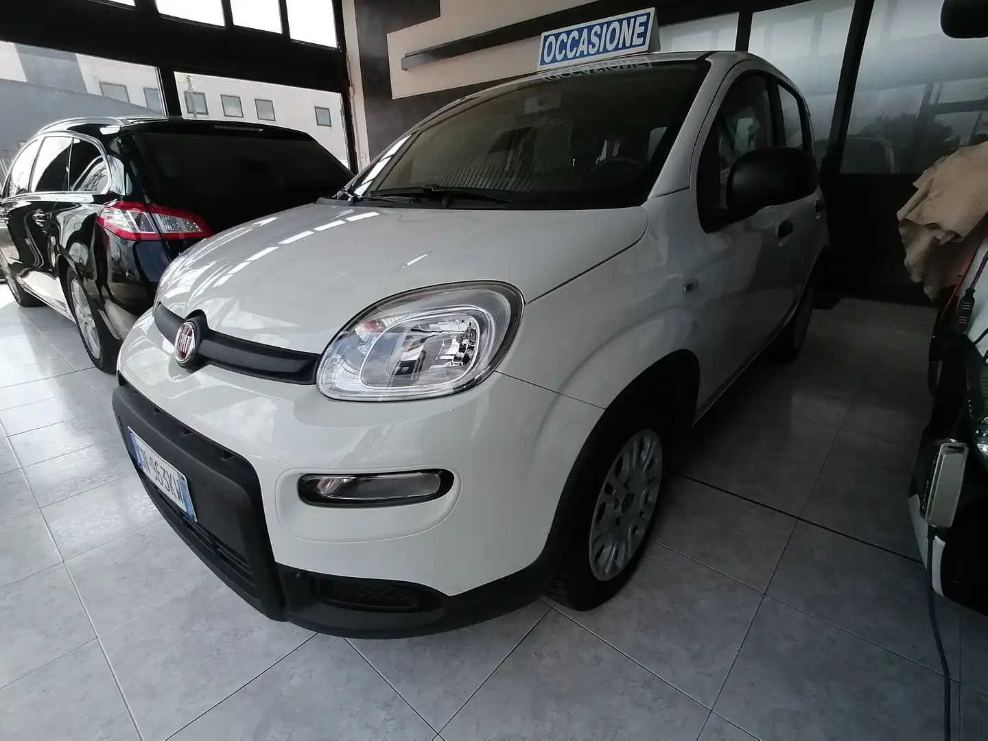 Fiat Panda Panda 1.0 firefly hybrid s Bianco - 1