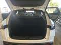 BYD Seal 6 Seal 6 DM-i Touring PHEV 19kWh Comfort Österreich Paket Comfort Österreich Paket Weiß - thumbnail 9