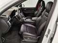 Audi SQ7 4.0 TDI quattro UPE: 138.0|AHK|Pano|Matrix|360°|He Weiß - thumbnail 7
