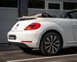 Volkswagen Beetle Cabriolet 1.2 TSI Coccinelle I Leer I AUT I Nwe Ke Blanc - thumbnail 22