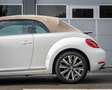 Volkswagen Beetle Cabriolet 1.2 TSI Coccinelle I Leer I AUT I Nwe Ke Blanc - thumbnail 32