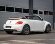 Volkswagen Beetle Cabriolet 1.2 TSI Coccinelle I Leer I AUT I Nwe Ke Blanc - thumbnail 4
