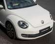 Volkswagen Beetle Cabriolet 1.2 TSI Coccinelle I Leer I AUT I Nwe Ke Blanc - thumbnail 31