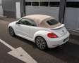 Volkswagen Beetle Cabriolet 1.2 TSI Coccinelle I Leer I AUT I Nwe Ke Blanc - thumbnail 36