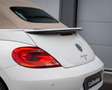 Volkswagen Beetle Cabriolet 1.2 TSI Coccinelle I Leer I AUT I Nwe Ke Blanc - thumbnail 37