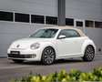 Volkswagen Beetle Cabriolet 1.2 TSI Coccinelle I Leer I AUT I Nwe Ke Blanc - thumbnail 2