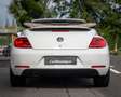 Volkswagen Beetle Cabriolet 1.2 TSI Coccinelle I Leer I AUT I Nwe Ke Blanc - thumbnail 16