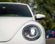 Volkswagen Beetle Cabriolet 1.2 TSI Coccinelle I Leer I AUT I Nwe Ke Blanc - thumbnail 35