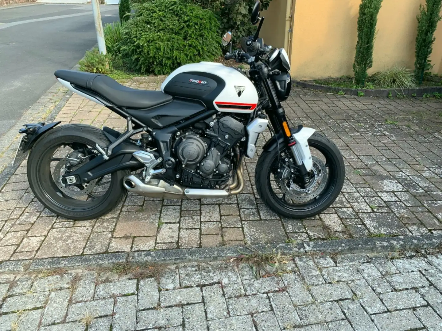 Triumph Trident 660 Alb - 1