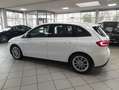 Mercedes-Benz B 220 4M MB SCHECKH 1. HAND 38 T/KM NETTO 18.900 Weiß - thumbnail 7
