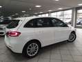Mercedes-Benz B 220 4M MB SCHECKH 1. HAND 38 T/KM NETTO 18.900 Weiß - thumbnail 23