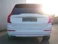 Volvo XC90 D5 AWD Inscription  NAVI/STHZ/LED/AHK/7SITZ Bianco - thumbnail 3