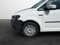 Volkswagen Caddy 1.0 TSI Kombi Trendline Blanc - thumbnail 6