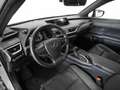 Lexus UX 250h UX Hybrid Premium Argento - thumbnail 9