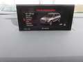Audi Q7 50 TDI quattro Gris - thumbnail 12