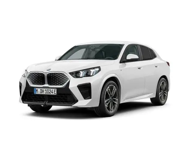 BMW iX2 ix2 xDrive30 M-Sport *Iconic*Navi*Kam.*Aktivsitz