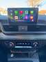 Audi Q5 Q5 3.0 TDI Quattro S Line AHK Grau - thumbnail 10