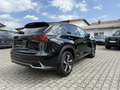 Lexus NX 350h 300 h E-Four *gehobene Ausstattung! Noir - thumbnail 3