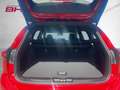 Ford Focus Turnier 1,0 EcoBoost 155 PS ATG ST-Line X Rot - thumbnail 5