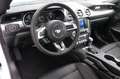 Ford Mustang 5.0 GT V8 Fastback Premium II 4,99% FIN* Weiß - thumbnail 14