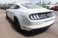 Ford Mustang 5.0 GT V8 Fastback Premium II 4,99% FIN* Blanco - thumbnail 7