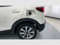 Kia Stonic 1.0 T-GDi MHEV iMT Concept Plus 100 Blanco - thumbnail 30