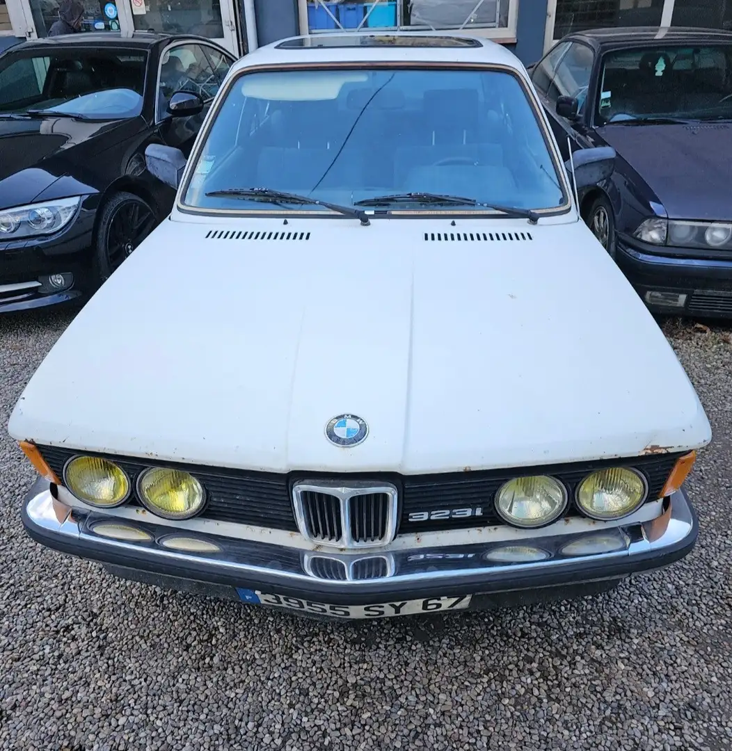 BMW 323 Blanc - 2