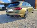 Audi RS4 A4  Avant 2.9 tfsi quattro 450cv tiptronic Verde - thumbnail 5