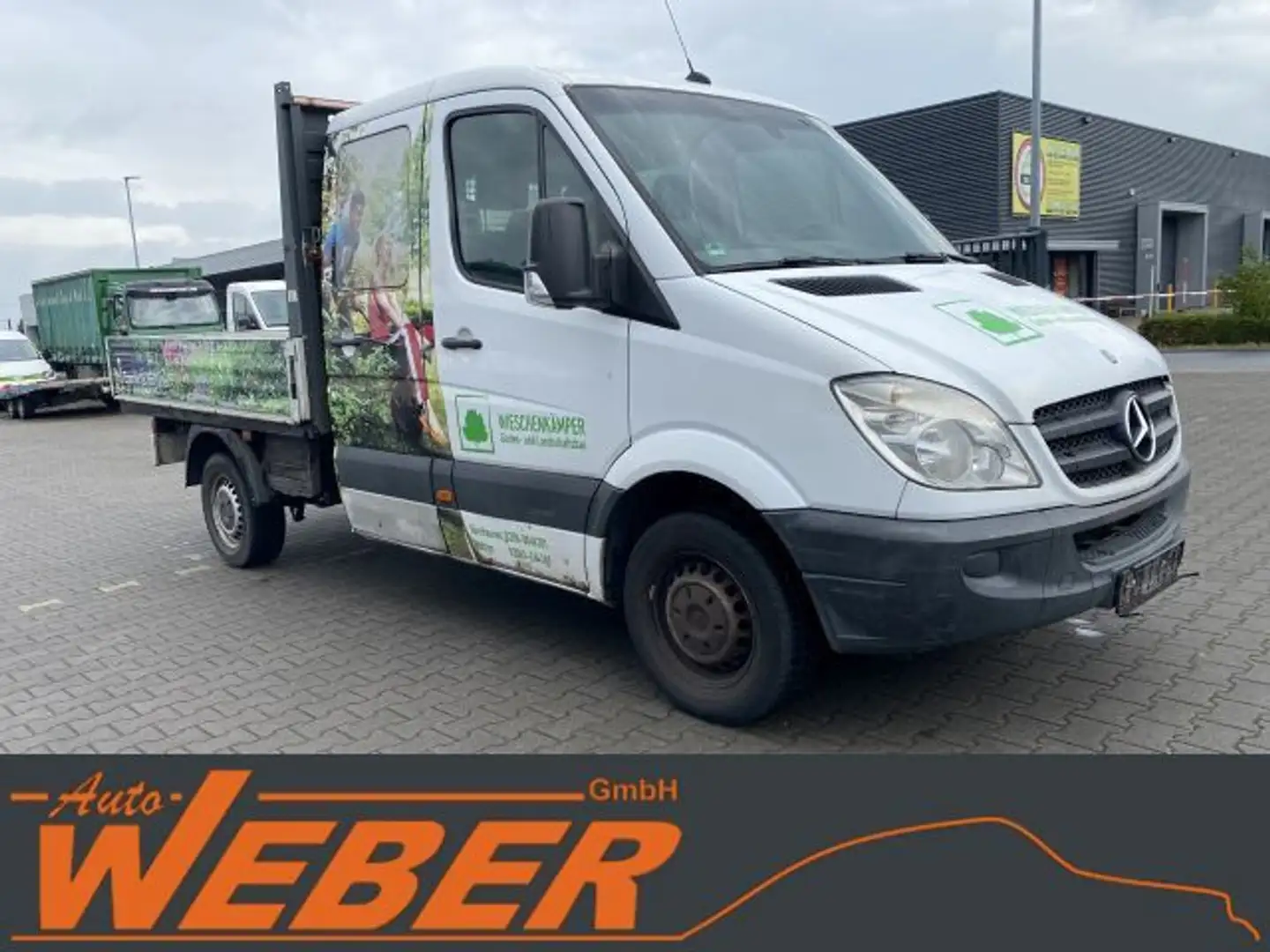 Mercedes-Benz Sprinter II Pritsche DoKa 313 CDI AHK Weiß - 2