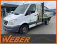 Mercedes-Benz Sprinter II Pritsche DoKa 313 CDI AHK Weiß - thumbnail 1