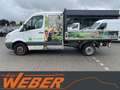 Mercedes-Benz Sprinter II Pritsche DoKa 313 CDI AHK Weiß - thumbnail 6