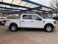 Ford F 150 F150, SOFORT 3,5 EcoB.''XLT'',AHK,Kamera Weiß - thumbnail 4