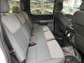 Ford F 150 F150, SOFORT 3,5 EcoB.''XLT'',AHK,Kamera Weiß - thumbnail 12