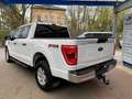 Ford F 150 F150, SOFORT 3,5 EcoB.''XLT'',AHK,Kamera Weiß - thumbnail 7