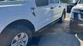 Ford F 150 F150, LED,AHK.Kamera, VORLAUF 3,5 V6, XLT Alb - thumbnail 5