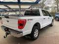 Ford F 150 F150, SOFORT 3,5 EcoB.''XLT'',AHK,Kamera Weiß - thumbnail 5
