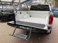 Ford F 150 F150, SOFORT 3,5 EcoB.''XLT'',AHK,Kamera Weiß - thumbnail 18