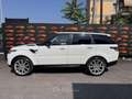 Land Rover Range Rover 3.0 tdV6 HSE aut. PANO CAMERA PRIVACY SOSPENSIONI Blanc - thumbnail 4