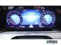 Volkswagen Golf VIII 1.5 TSI Life KAMERA NAVI AHK LED Grau - thumbnail 10