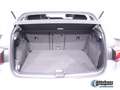 Volkswagen Golf VIII 1.5 TSI Life KAMERA NAVI AHK LED Grau - thumbnail 19