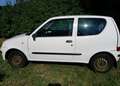 Fiat Seicento Seicento 1.1 Young Wit - thumbnail 1