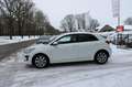 Kia Rio 1.0 T-GDi MHEV DynamicPlusLine Andriod, apple, Cl Weiß - thumbnail 6