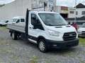 Ford Transit Pritsche 350 L3  ALLRAD/TEMP/SHZ/AHK/DAB Blanc - thumbnail 1
