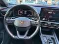 CUPRA Formentor 1.5 tsi dsg Gris - thumbnail 12