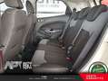 Ford EcoSport 2014 Benzina 1.0 ecoboost Business c/navi 125cv Bianco - thumbnail 11