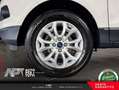 Ford EcoSport EcoSport 1.0 ecoboost Business c/navi 125cv Bianco - thumbnail 5